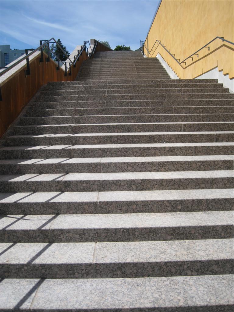 IMG_0295 (Large).JPG
