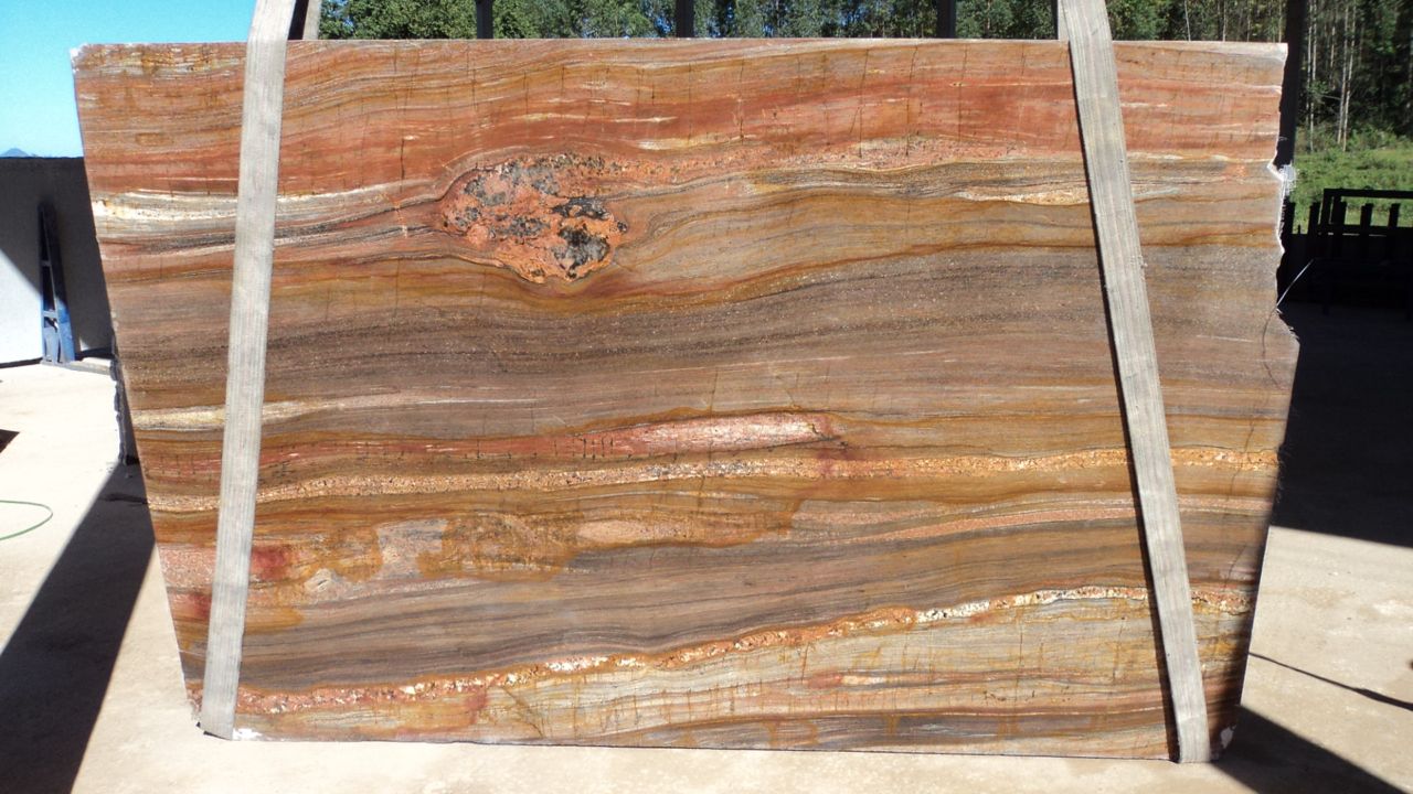 Petrified Wood BL 2368 chapa 65.jpg