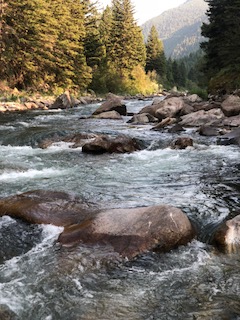 IMG_0131.jpg