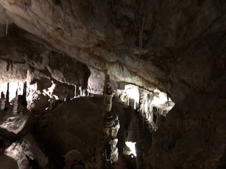 IMG_0891.jpg