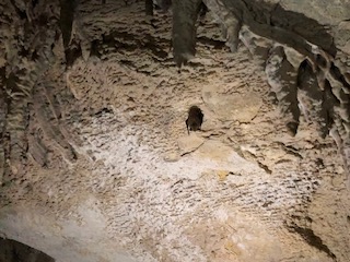 IMG_0896.jpg