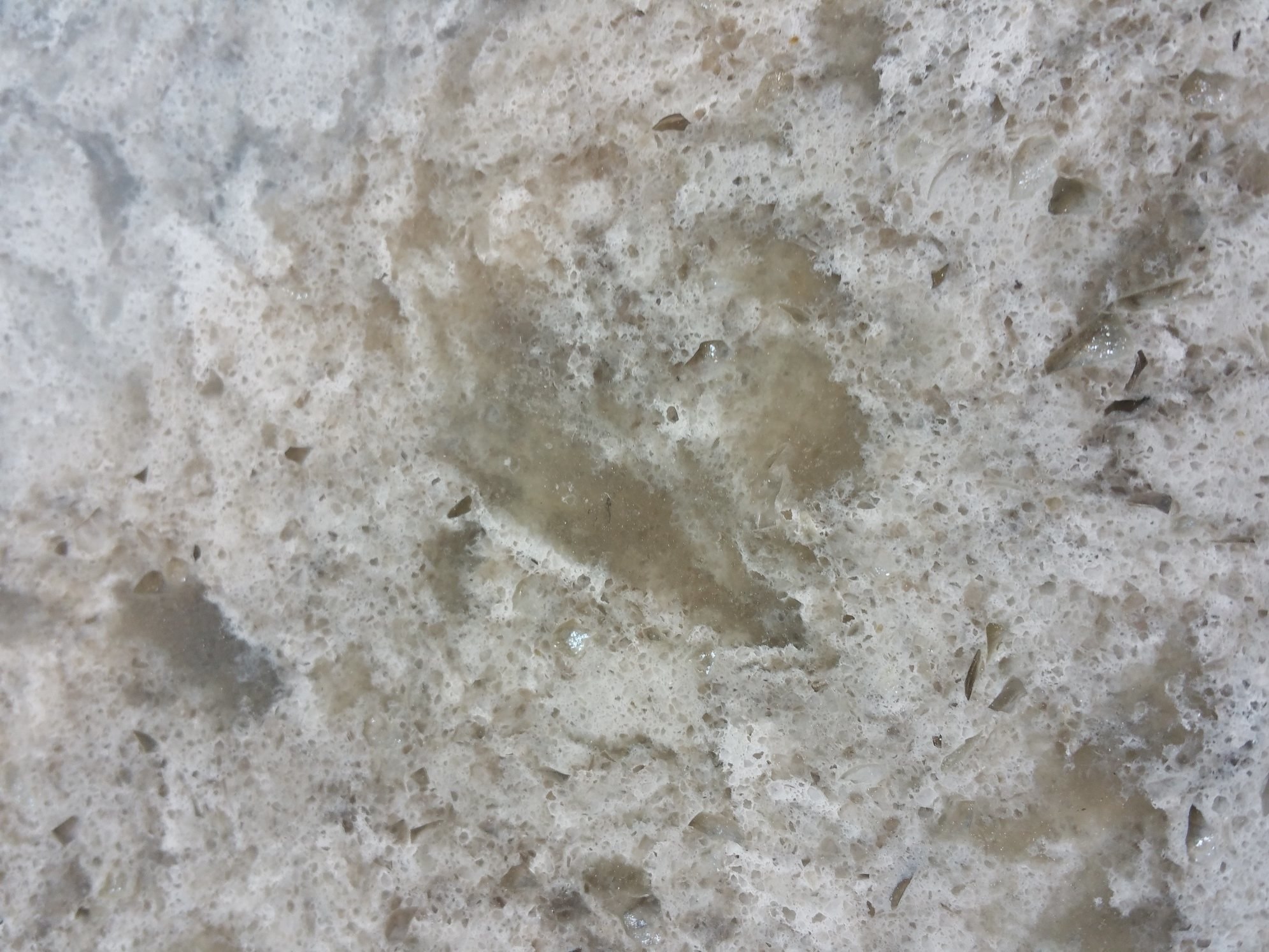 rsz_20150227_111317.jpg